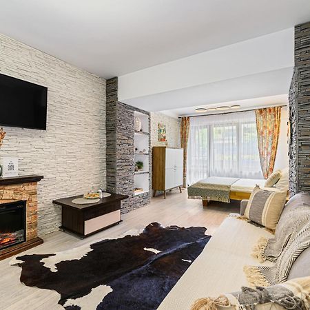 Studio Enis Poiana Brasov Luaran gambar